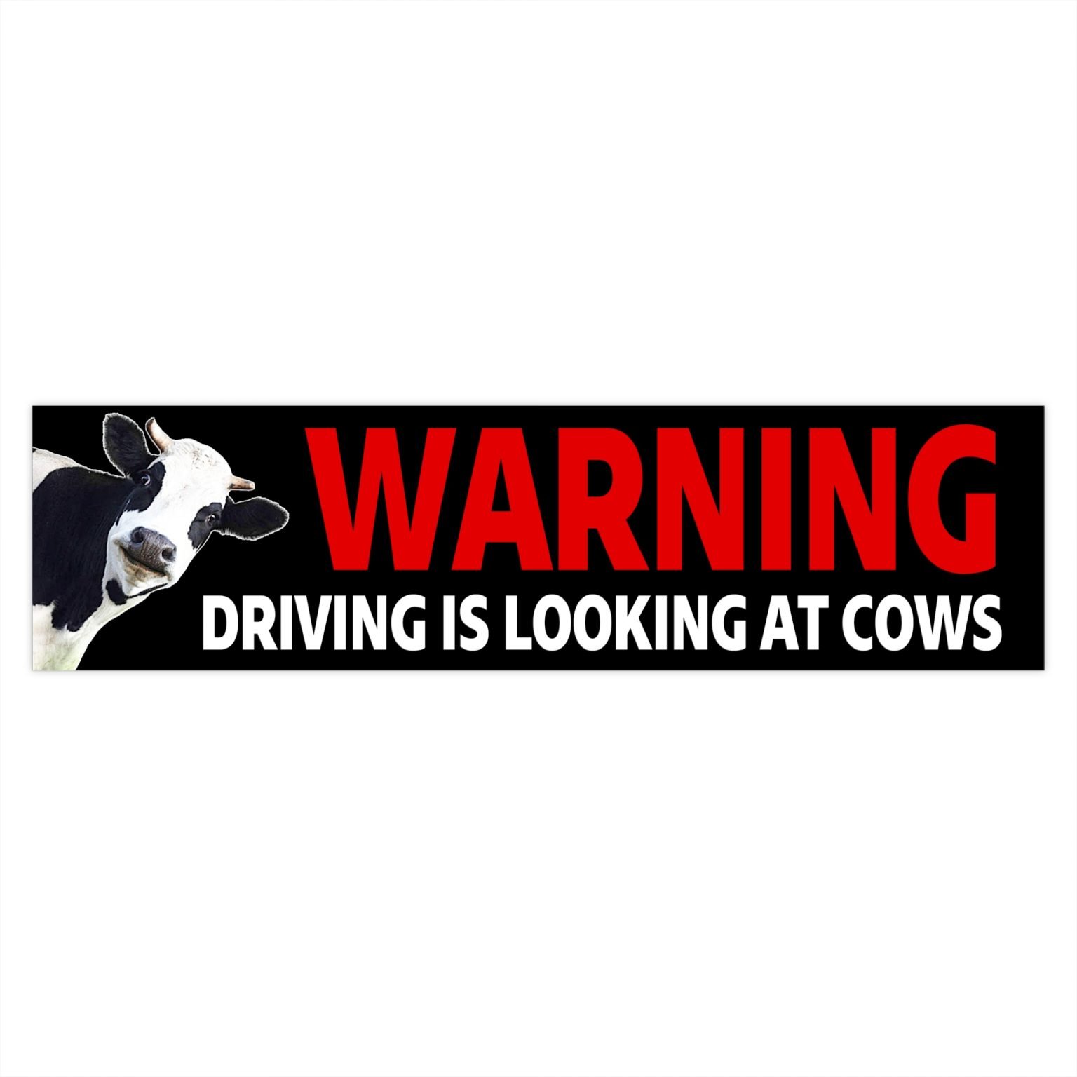 Warning Driving is Looking at Cows Bumper Sticker | Teesperky
