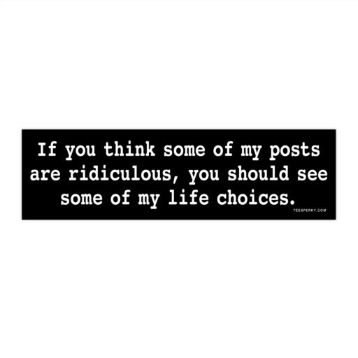 If You Think Some Of My Posts Are Ridiculous Bumper Sticker