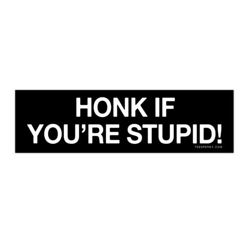 Honk if You're Stupid! Bumper Sticker