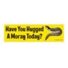 Have You Hugged a Moray Today? Bumper Sticker