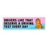Drivers Like That Deserve a Driving Test Every Day Bumper Sticker